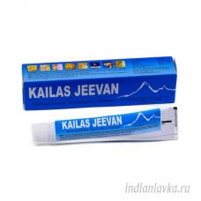 Кайлаш Дживан крем-бальзам аюрведический (KAILAS JEEVAN) – 20 гр.